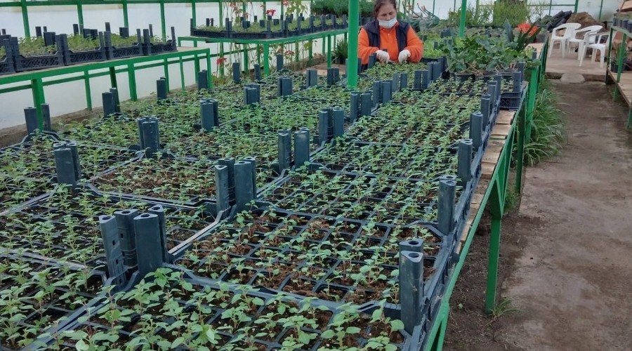 Marmaris'in çiçek seraları 1,5 milyon TL tasarruf sağlıyor