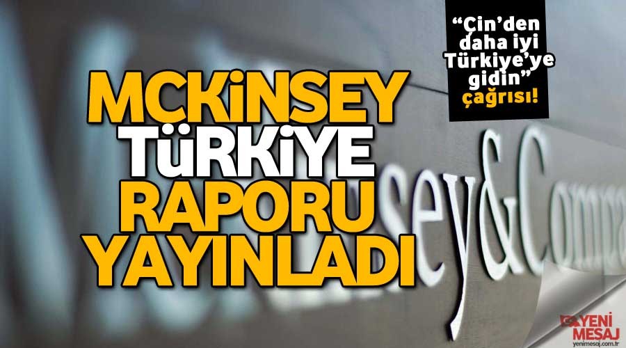 McKinsey T�rkiye raporu yay�nlad�
