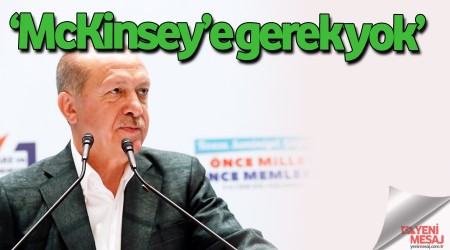 ‘McKinsey’e gerek yok’
