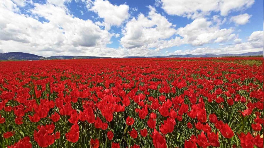 Mu� Ovas�'ndan huzur veren g�r�nt�ler