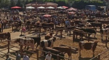 Nevşehir hayvan pazarı 'şap' nedeniyle geçici olarak kapatıldı