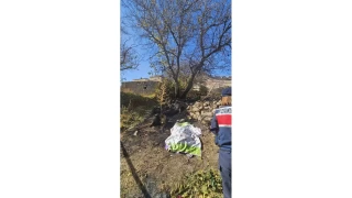 Nevşehir'de bahçe temizliği facia ile sonuçlandı