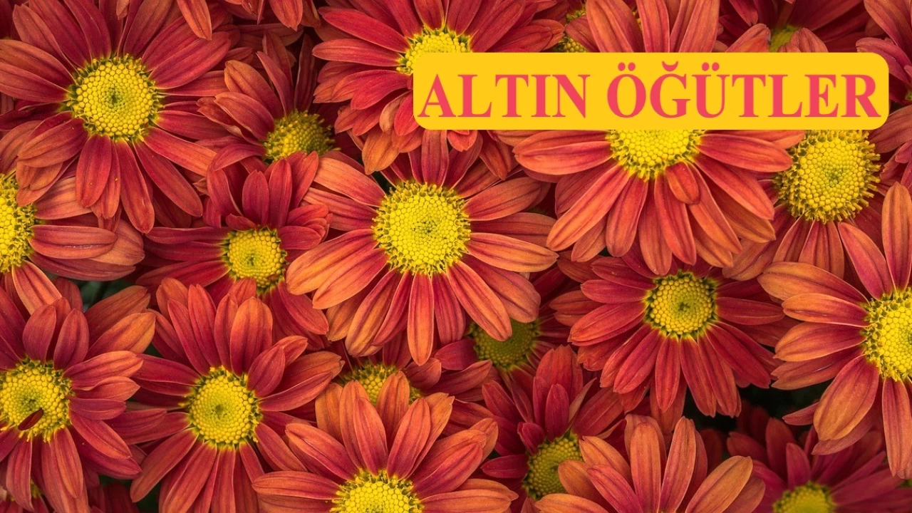 O m��mine cehennem ate�i de�mez