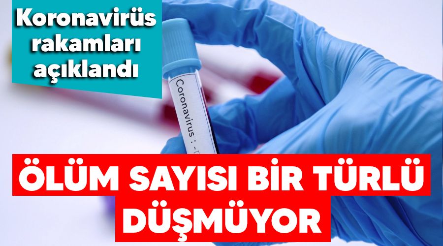 �l�m say�s� bir t�rl� d��m�yor