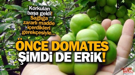 Önce domates şimdi de erik!