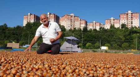Ordu'da zorlu fındık kurutma mesaisi
