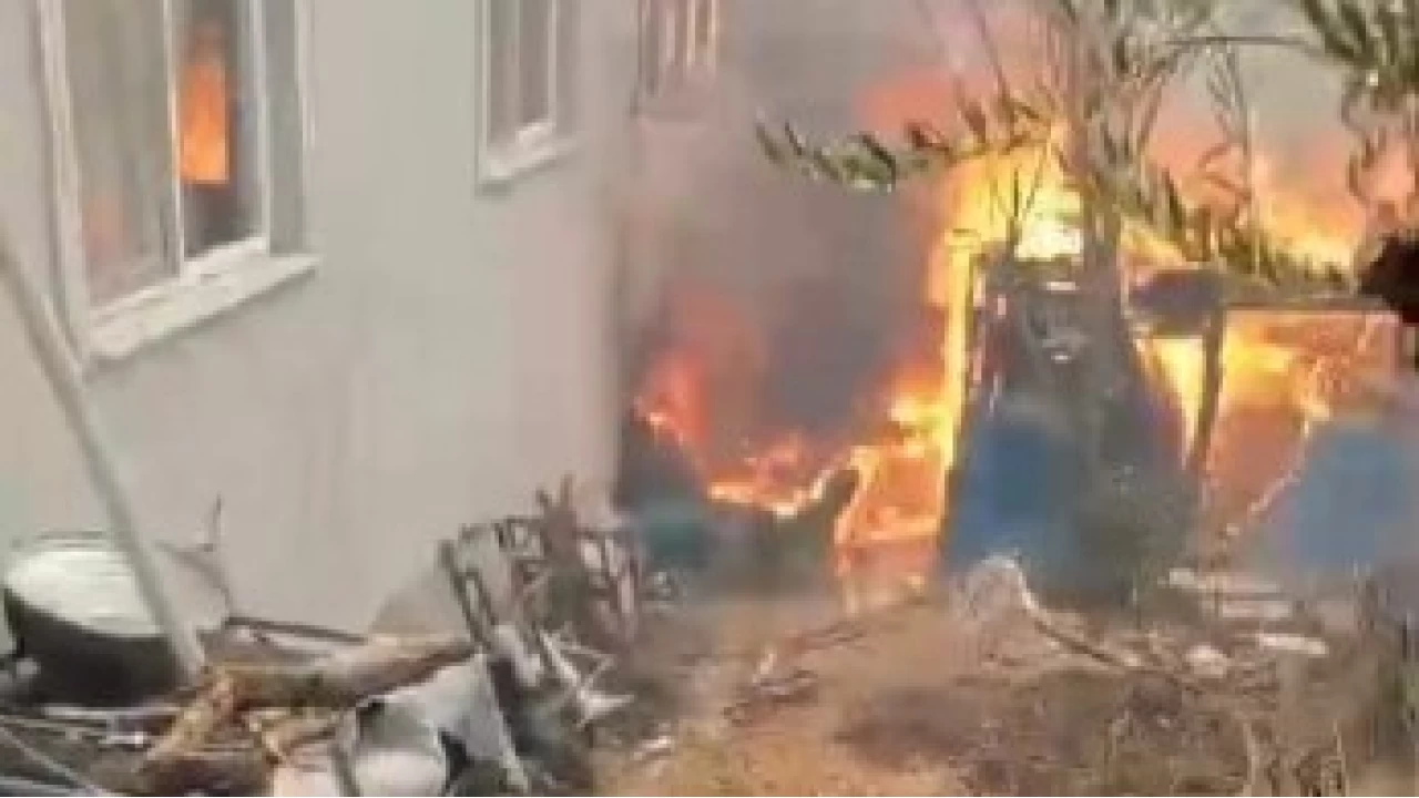 Orman yang�n� k�ye indi