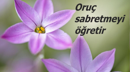 Oru sabretmeyi retir