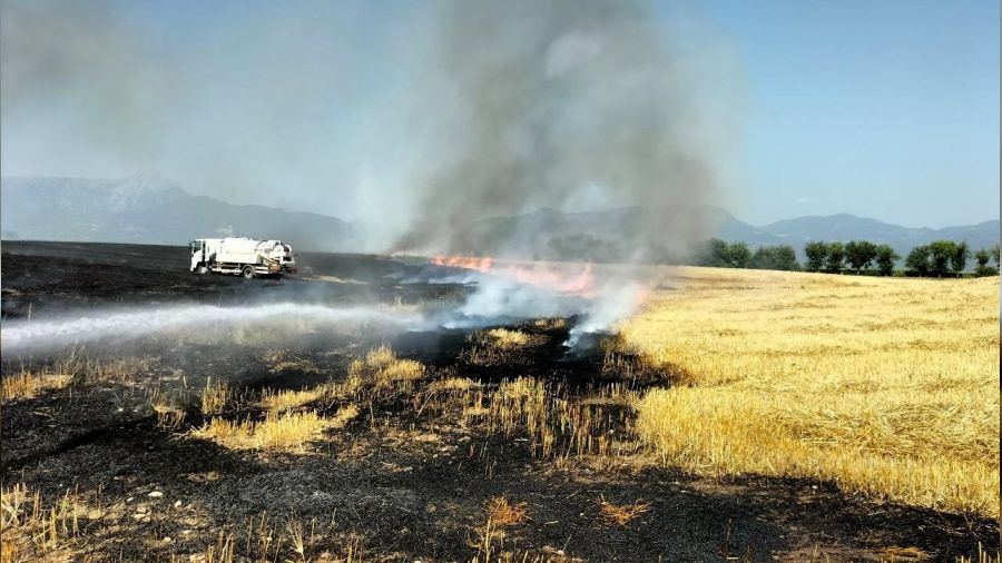 Osmaniye'de 10 dönüm buğday tarlası yandı
