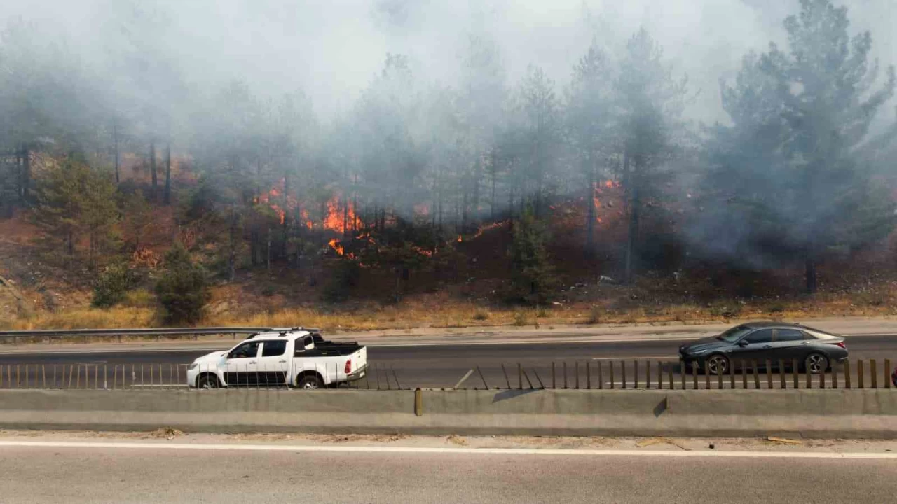 Otoyolda yanan ara� orman yang�n� ��kard�