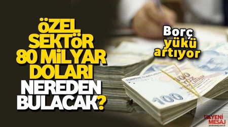 zel sektr 80 milyar dolar deyecek