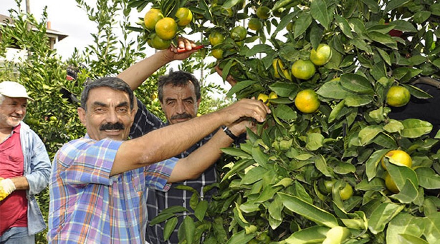 Perişan durumdayız, bir çare bulun!