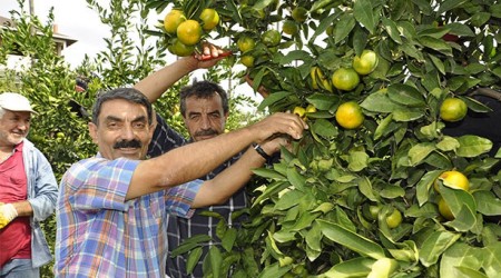 Perişan durumdayız, bir çare bulun!