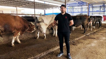 Piyasalarda kurban hareketliliği yaşanıyor