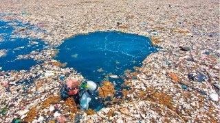 Plastik at�klar: Okyanuslardaki �yedinci k�ta� b�y�yor