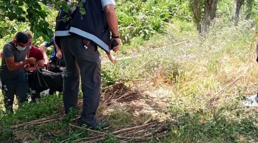Polis ekipleri, ağaca asılı halde buldu