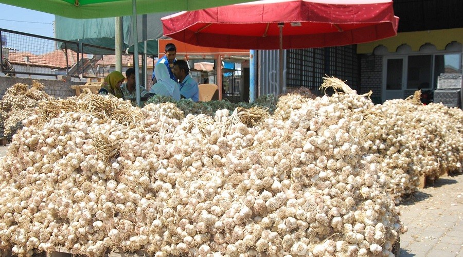 Sar�msa��n fiyat� neden y�kseldi?