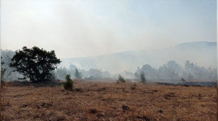 Savaştepe'de yine yangın çıktı
