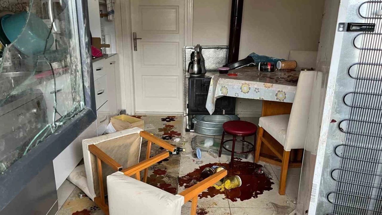 �av�at'ta k�� uykusunda uyanan ay�lar k�y evlerine giriyor