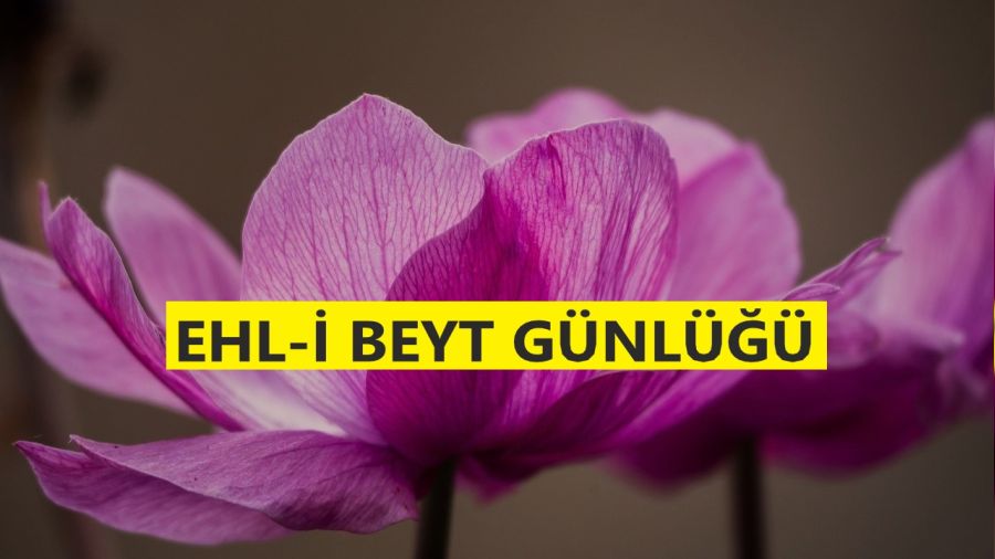 ‘Seçmek onlara ait bir hak değildir’