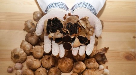 Şifa deposu siyah sarımsak tane ile satılıyor