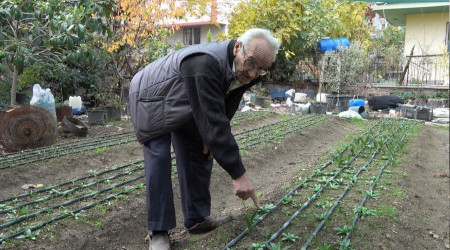 Şifa dolusu salep, kış aylarının vazgeçilmezi oldu