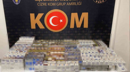 Şırnak'ta terörün finans kaynaklarına operasyon: 55 gözaltı