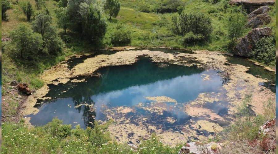 Sivas'�n do�a harikas� g�l� ve �elalesi tescillendi