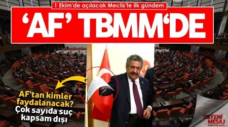 Son dakika... 'Af teklifi sürüncemede kalmayacak'