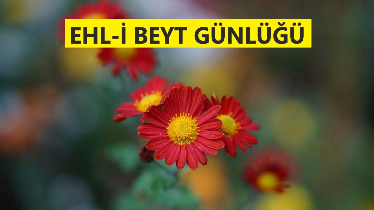 Sonunda O’nun kapısına geldiler