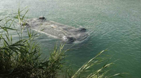 Sulama kanalna den otomobilden 3 erkek cesedi kt