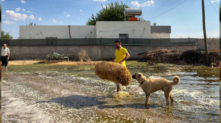 Tarım için kullanılan su mahalleyi gölete çevirdi