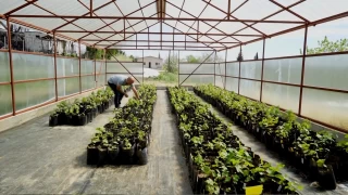 Tarımda çok geç kalmış bilimsel adımlar