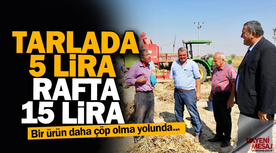 Tarlada 5 lira rafta 15 lira 