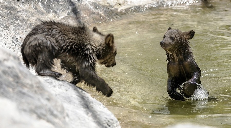 Tarsus Doa Park pazartesi gnleri ziyarete kapatlyor