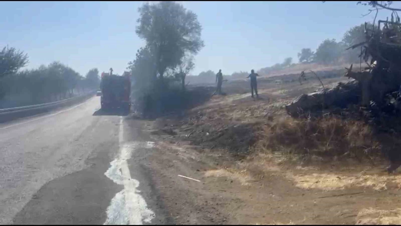 Tekirdağ'da alevler tarla ve ormanı sardı: 10 ev boşaltıldı