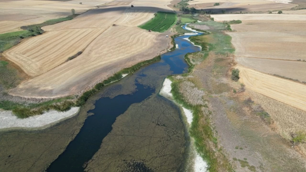 Tekirda�'da Sar�lar G�leti kurakl�ktan nasibini ald�