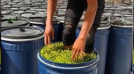 TikTok uğruna insan sağlığını hiçe saydı