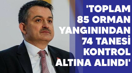 'Toplam 85 orman yangınından 74 tanesi kontrol altına alındı'
