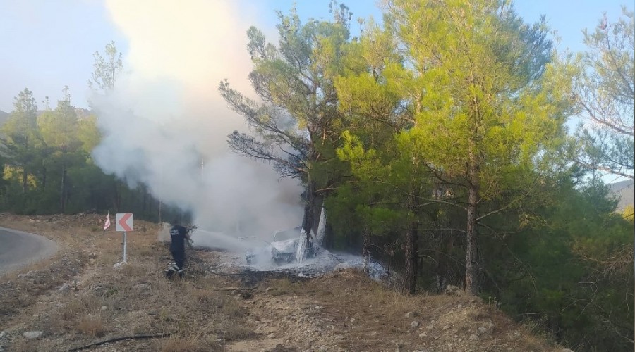 Trafik kazası orman yangınına neden oldu