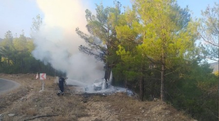 Trafik kazası orman yangınına neden oldu