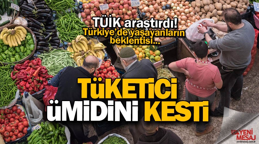 Tketici gven endeksi dip yapt