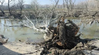 Tunca Nehri k�y�s�nda toprak kaymas�