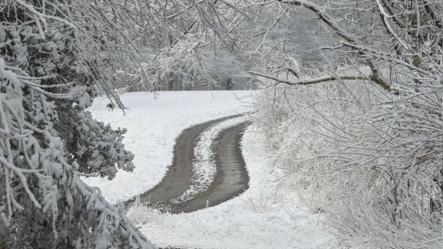 T�rkiye'ye 'El Nino k���' geliyor! Kar ya���� i�in tarih verildi