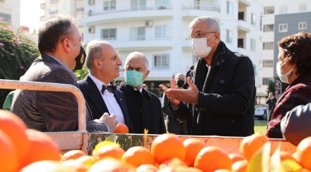 Turunçlar salata sosu olarak ekonomiye kazandırılacak