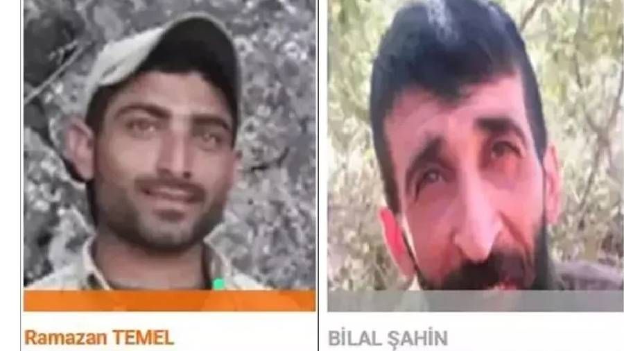 Turuncu ve gri listede aranan 2 terörist Mardin'de etkisiz hale getirildi