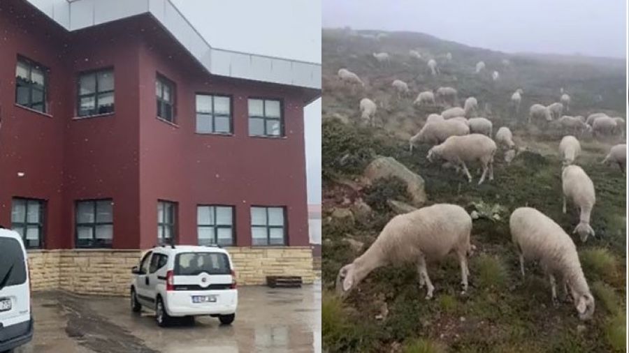 Uludağ'a ilk kar düştü