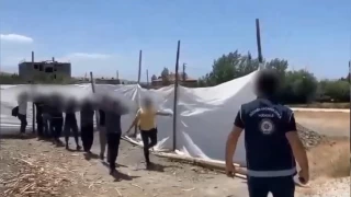 Van'da bir ylda 263 organizatr tutukland