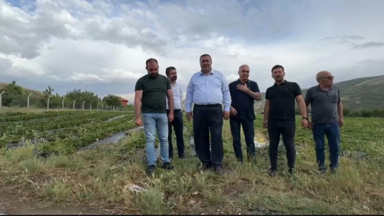 'Vatandaş yarım kilo ürünü utanarak alıyor'