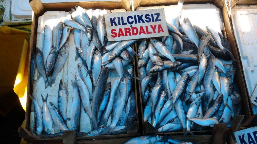 Vatandaşın vazgeçilmezi 'sardalya' oldu